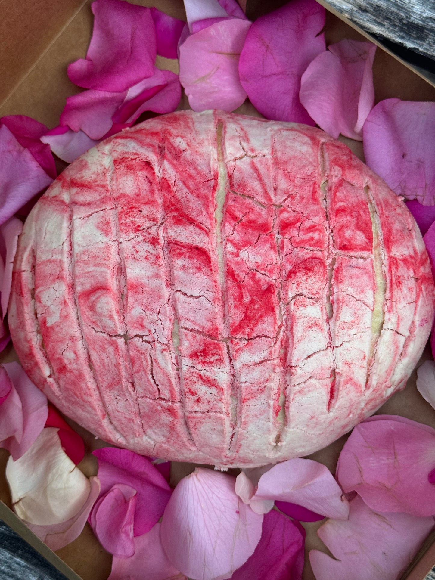 Concha Cake (filled) for 5