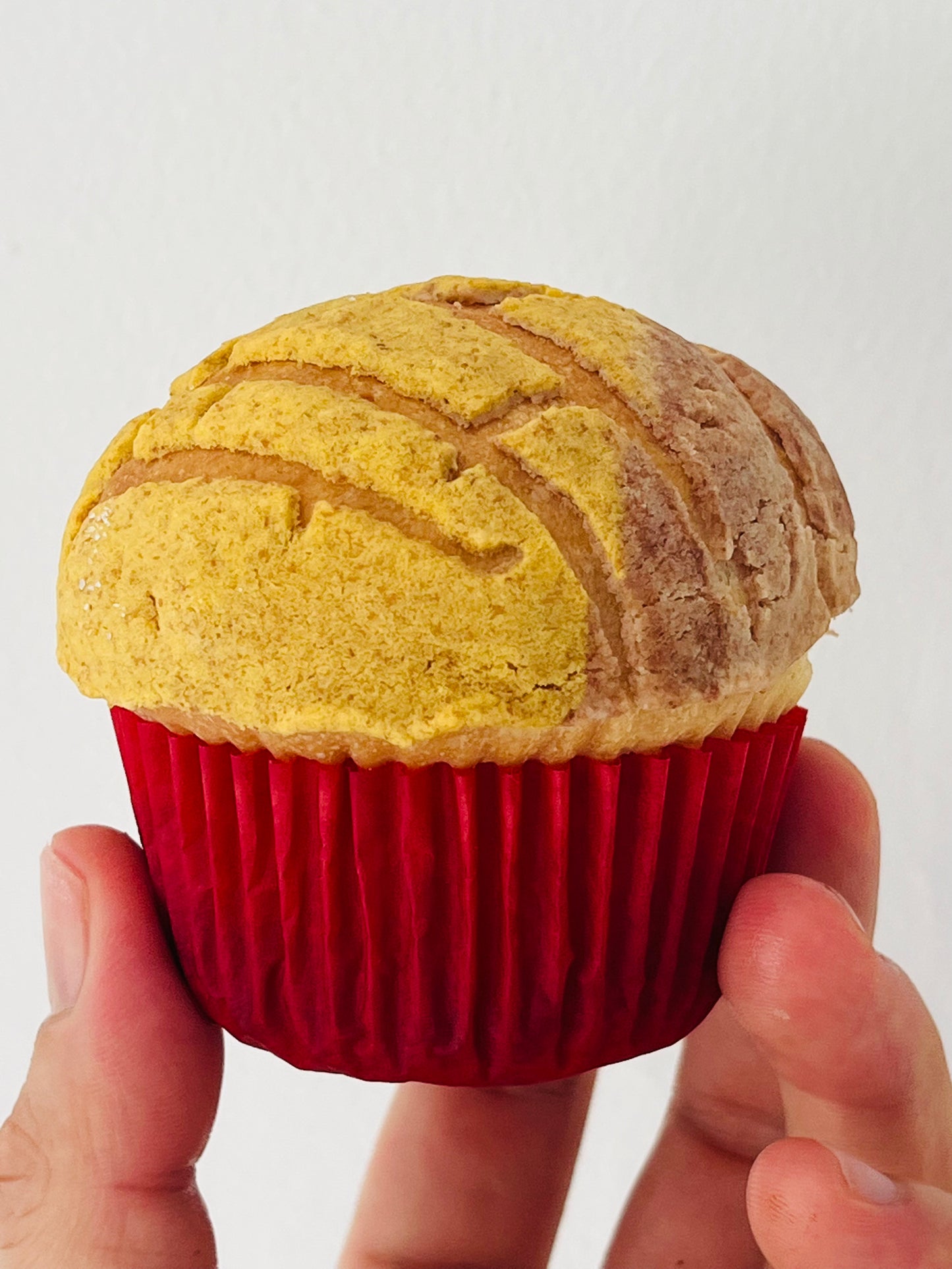ManteConchas- 6pack (NORMAL & VEGAN)