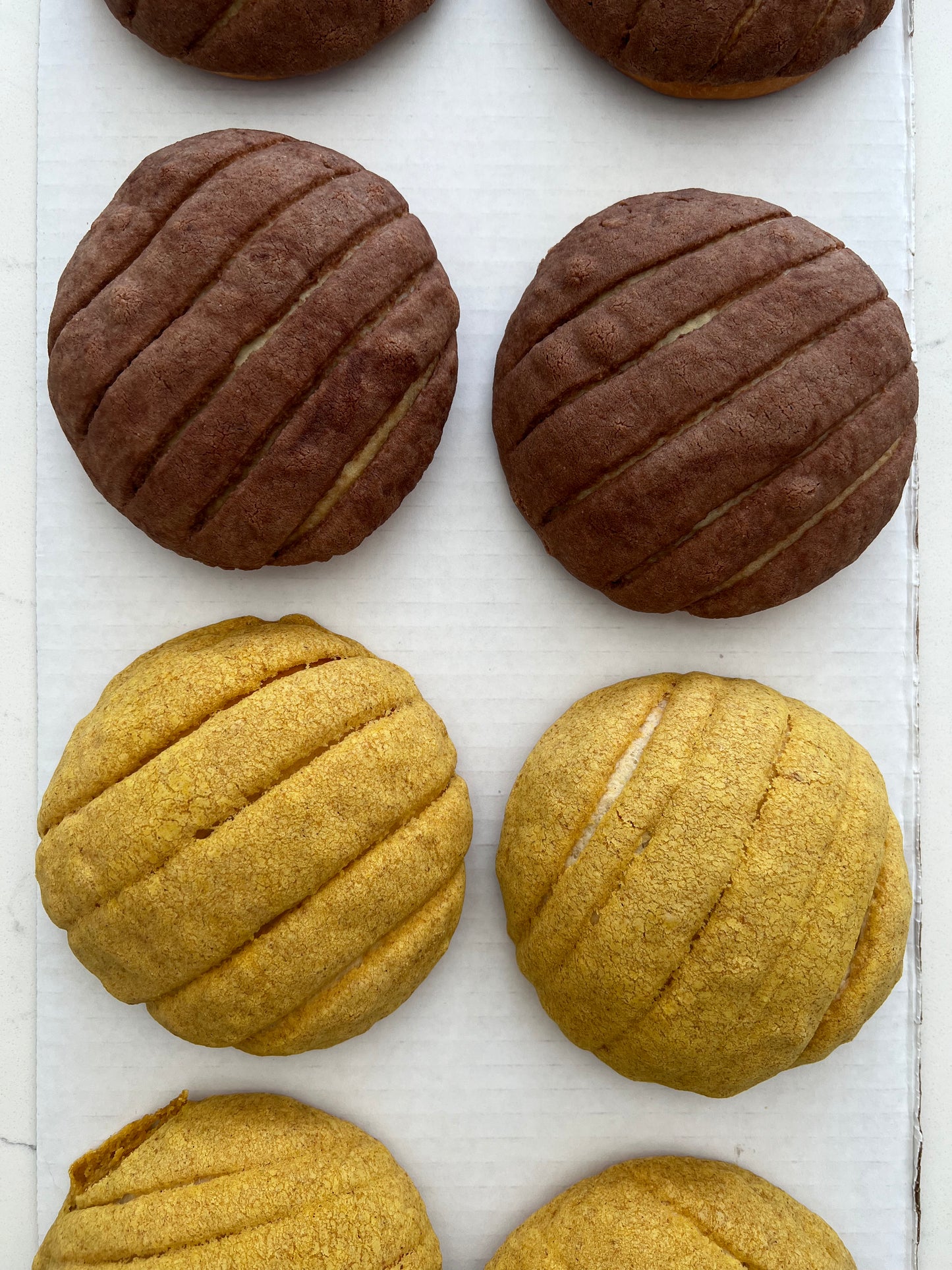 Vegan Conchas - 6 Pack