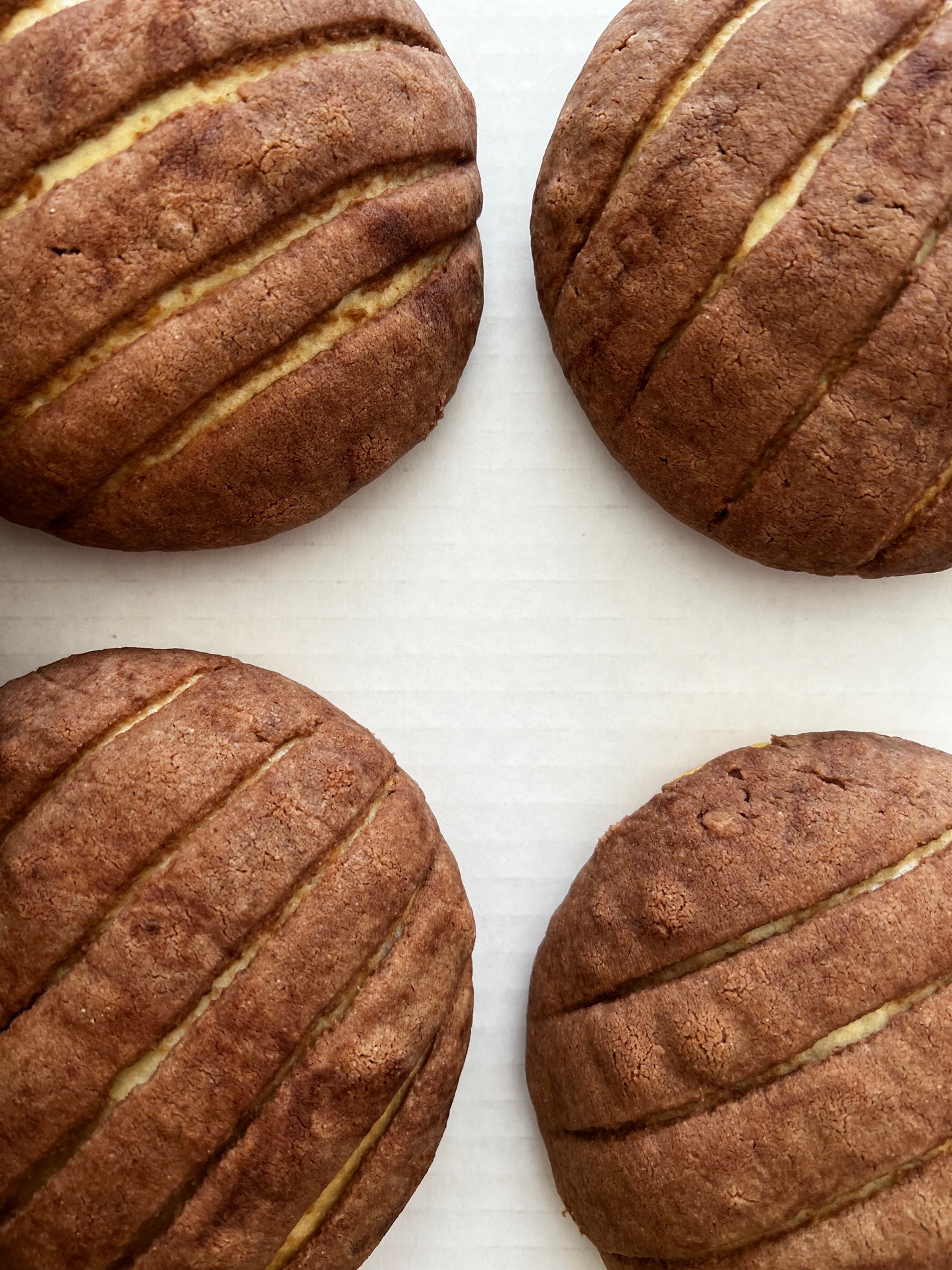 Vegan Conchas - 6 Pack