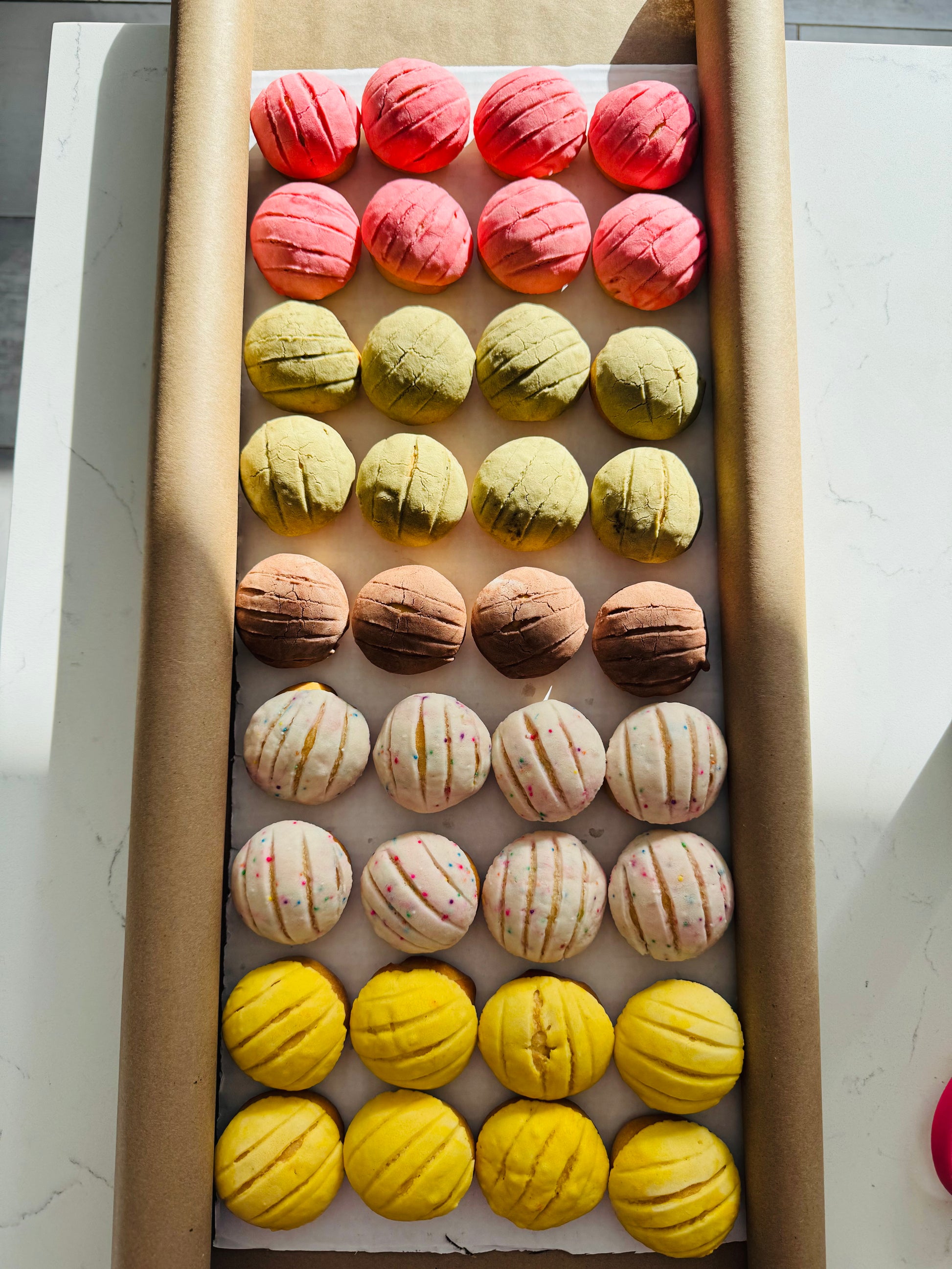 Missing Concha Chiqui Conchas (24 pcs) – Oh My Concha!