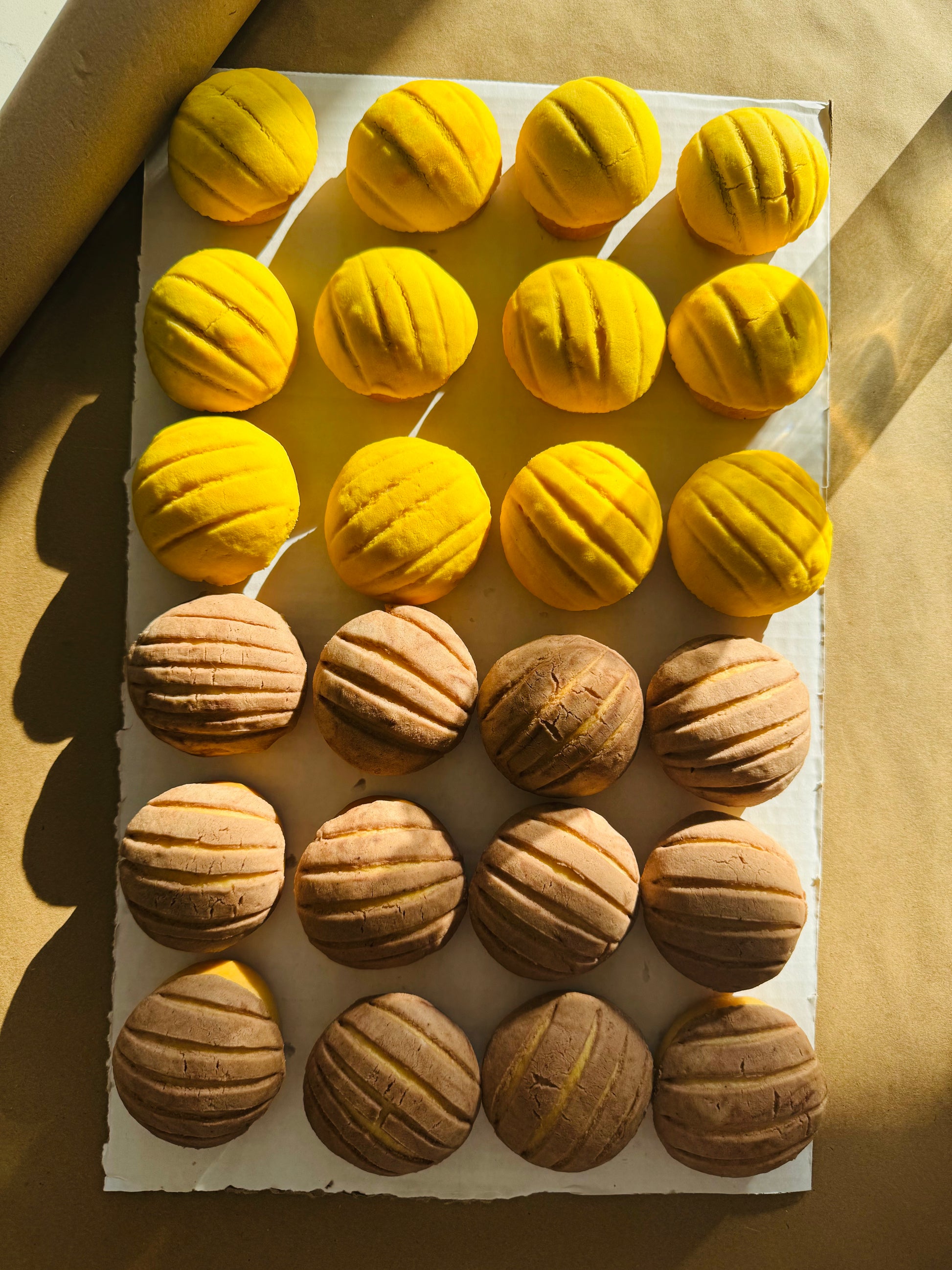 Missing Concha Chiqui Conchas (24 pcs) – Oh My Concha!