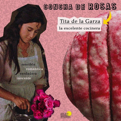 Conchas Divinas 6-Pack (Traditional or Vegan)
