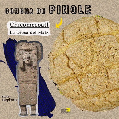 Conchas Divinas 6-Pack (Traditional or Vegan)